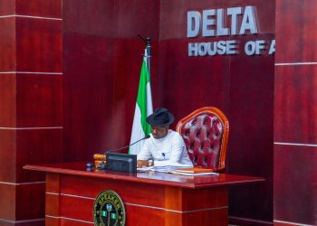 Bill for amendment of Child Rights Law 2008 scales second reading in Delta Assembly