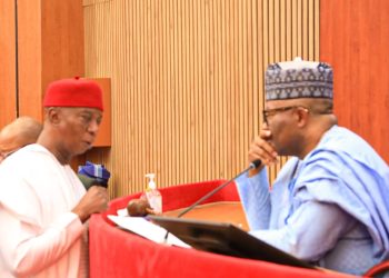 Ned Nwoko makes Senate’s list of top performing senators