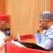Ned Nwoko makes Senate’s list of top performing senators