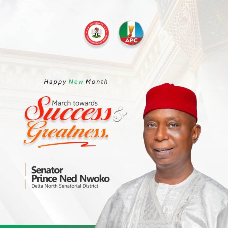 APC Aniocha North officially receives Senator Nwoko