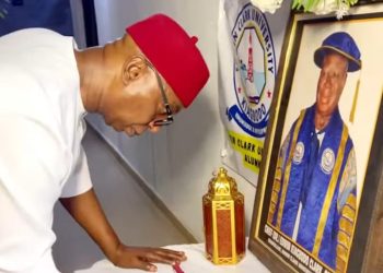 I can’t imagine Niger Delta without Pa Clark – Senator Ned Nwoko