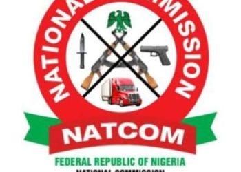 NATCOM Recruitment: Remain calm as organisation’s DG undergoes investigation, Nwoko urges Delta North applicants