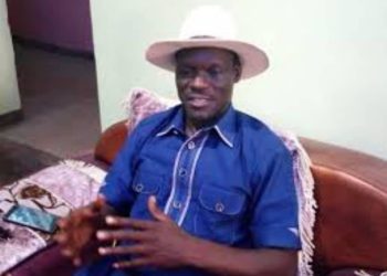 2027: Stop distracting Tinubu with mischievous endorsement — Mulade