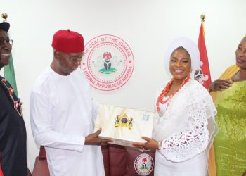 Afro-Descendants and Diaspora Nigerians get legislative boost from Senator Nwoko