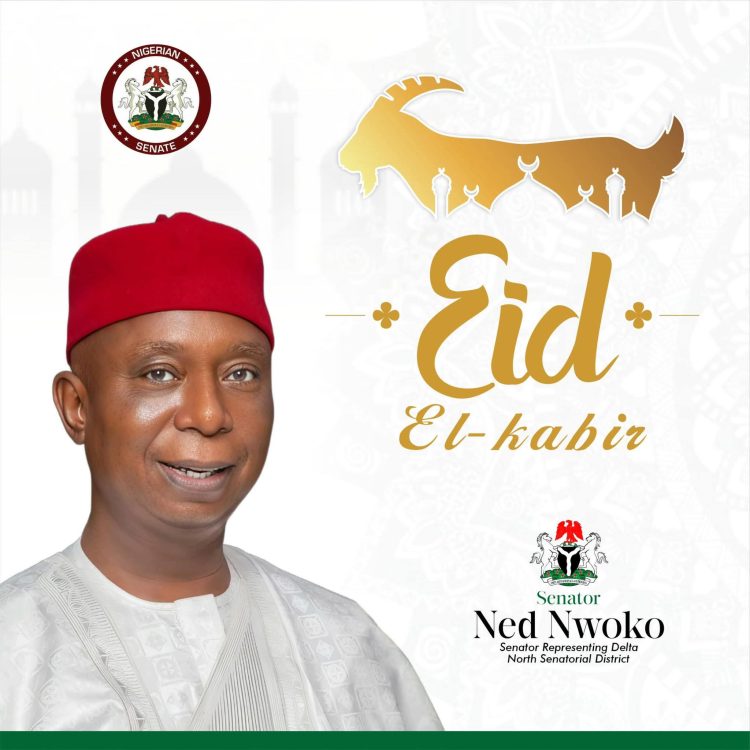 Eid-el-Kabir: Senator Nwoko calls for collective efforts in achieving more inclusive, prosperous Nigeria