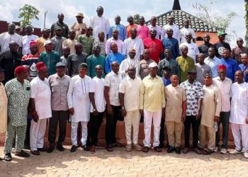 Ned Nwoko gets endorsement of Delta North APC Ward chairmen for 2027 polls