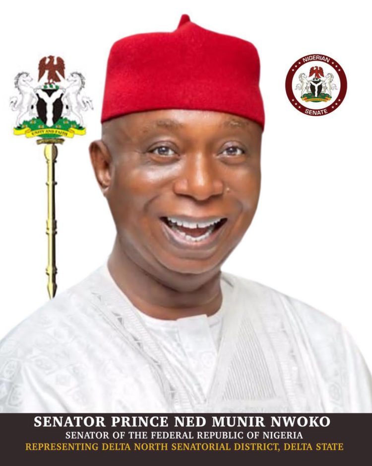 Senator Ned Nwoko’s Strategic Leadership, National Influence, People-Centered Representation In Two Years