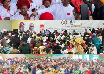 Delta North APC constitutes Leadership Council, passes vote of confidence in Tinubu, Oborevwori, Nwoko