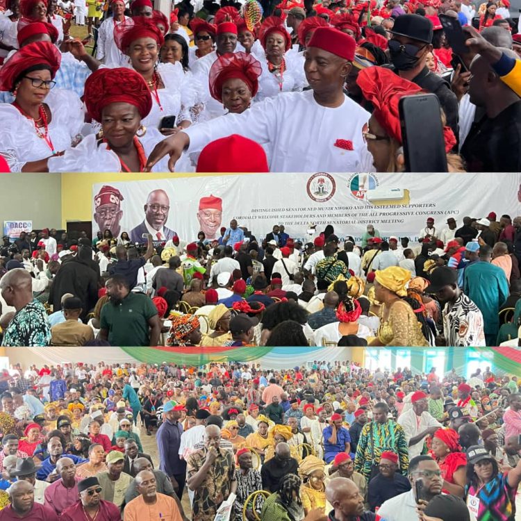 Delta North APC constitutes Leadership Council, passes vote of confidence in Tinubu, Oborevwori, Nwoko