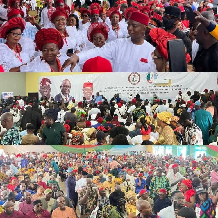 Senator Ned Nwoko: A New Era of Principled, People-Centred Representation