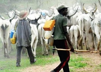 ANTI-OPEN GRAZING LAW: Delta Activist Mulade Laments Non-Implementation, Accuses Government of Lacking Political Will