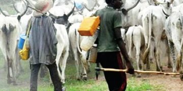 ANTI-OPEN GRAZING LAW: Delta Activist Mulade Laments Non-Implementation, Accuses Government of Lacking Political Will