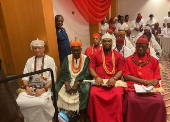 Delta North Monarchs Justify Renewed Push for Anioma State at Senate Public Hearing