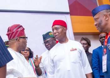 Anioma State: I Didn’t Initiate It, But I’m Determined to See It Through to Victory – Senator Ned Nwoko