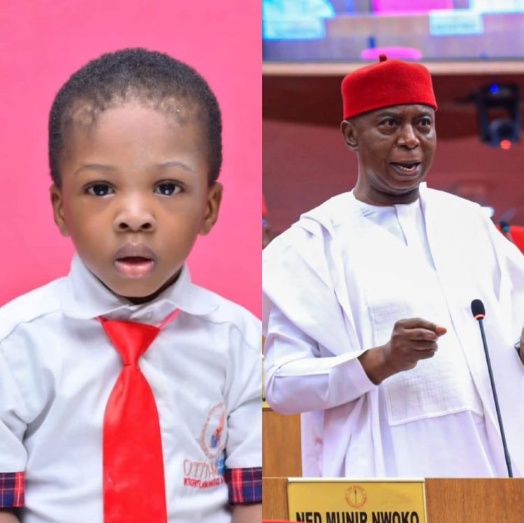 Senate Adopts Ned Nwoko’s Petition, Recommends N200 Million Compensation for Family of Two-Year-Old Killed by Stray NDLEA Bullet