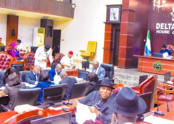 Delta Assembly Passes Community Security Corps Bill to Bolster Local Security Architecture