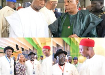 APC NEC Meeting: Senator Ned Nwoko, Delta Delegation Attend as Party Appoints Yilwatda Chairman