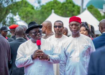 Ned Nwoko Driving Delta’s M.O.R.E. Agenda, Tinubu’s Renewed Hope Vision