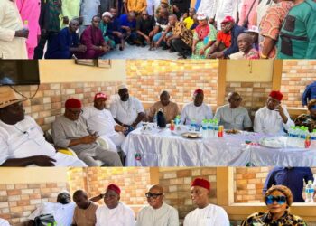 Ned Nwoko Meets Delta North APC Leaders, Says His Service Transcends Partisan Inclinations