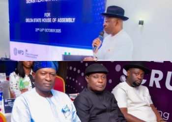 Delta Assembly, Justice Ministry, WFD Collaborate on Post-Legislative Oversight