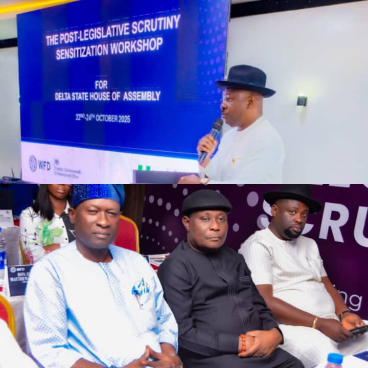 Delta Assembly, Justice Ministry, WFD Collaborate on Post-Legislative Oversight