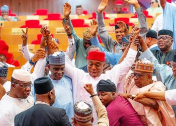 Facts, Not Rhetoric: Setting the Record Straight on Senator Nwoko in Response to Bruno Amamosa’s Article