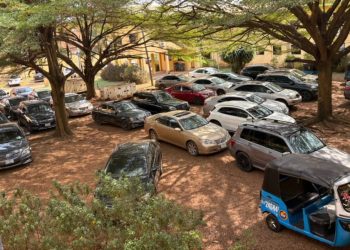 Police Foil New Year Chaos in Asaba, Arrest 43 Hoodlums