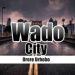 WADO CITY ADVOCACY GROUP DEBUNKS FALSE ALLEGATIONS BY UMUKORO EFEMENA