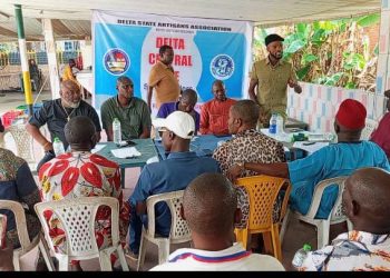 Delta Central Artisans Reject Informal Sector Plan, Pass Vote of No Confidence in Ifeanyi Abanum