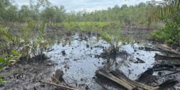 ‘Life Is on Pause’: Kusimi Community in Delta Seeks Urgent Intervention Over Oil Spill