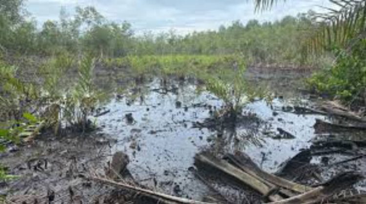 ‘Life Is on Pause’: Kusimi Community in Delta Seeks Urgent Intervention Over Oil Spill