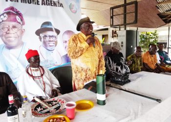 Delta Leaders Back Ahwinahwi’s National Assembly Return, Endorse Tinubu, Oborevwori for Second Term