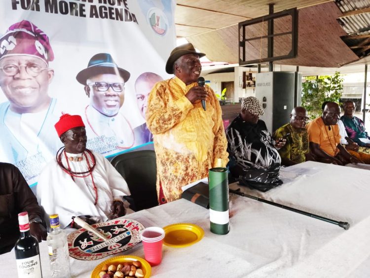 Delta Leaders Back Ahwinahwi’s National Assembly Return, Endorse Tinubu, Oborevwori for Second Term