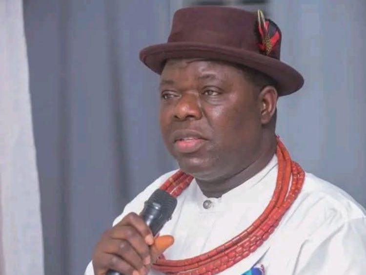 Ominimini Dumps APC, Questions Fairness of Future Primaries in Delta