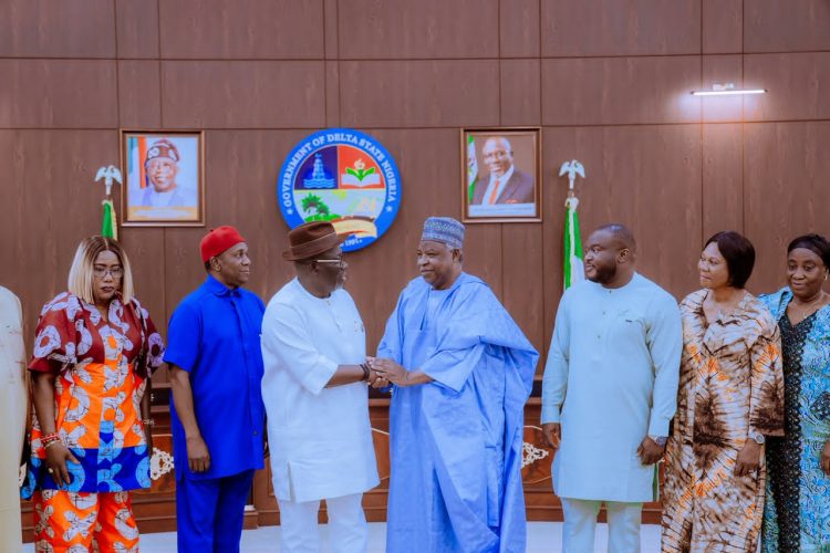 ‘Go and See for Yourselves’ — Oborevwori Challenges RMFAC Team to Verify Delta Projects