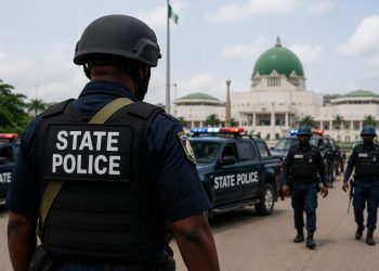 State Police Move Gains Momentum as National Assembly Pushes Security Reform