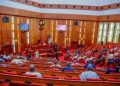 Nigeria Moves Closer to State Policing as Senate Approves Constitutional Amendment