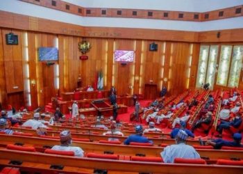 Nigeria Moves Closer to State Policing as Senate Approves Constitutional Amendment