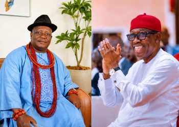‘Your Service Continues to Inspire’ — Nani Pays Stirring Tribute to Okowa at 67