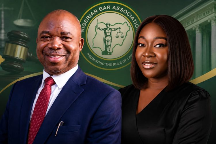 NBA Poll: Dafinone Celebrates Okoro, Okpomor, Says Urhobo Excellence Shines Nationally