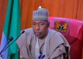 Northern Gov Suspends Monarchs Over Absence During Visit